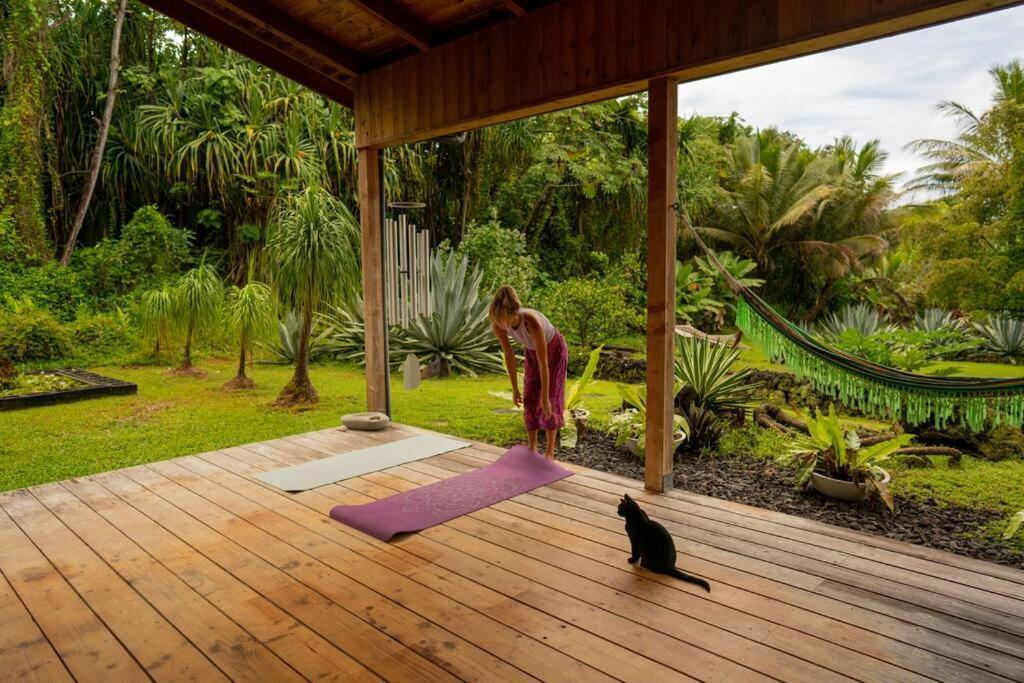 Jungle Haven Ocean Front Eco Villa On Fruit Farm Pahoa 外观 照片