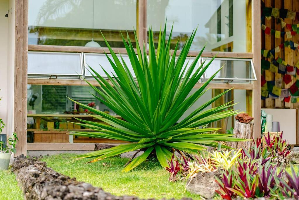 Jungle Haven Ocean Front Eco Villa On Fruit Farm Pahoa 外观 照片