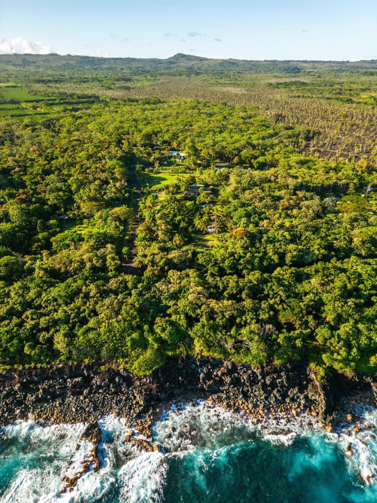Jungle Haven Ocean Front Eco Villa On Fruit Farm Pahoa 外观 照片
