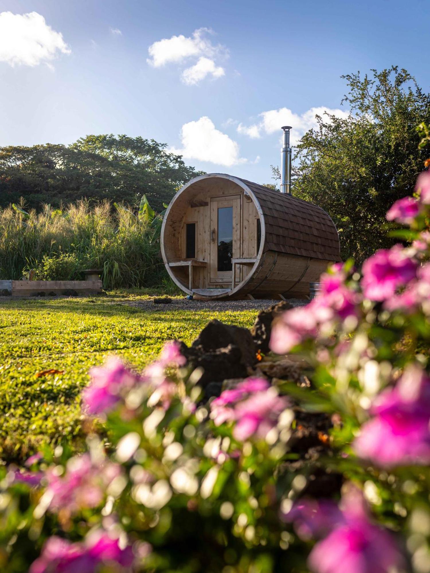 Jungle Haven Ocean Front Eco Villa On Fruit Farm Pahoa 外观 照片