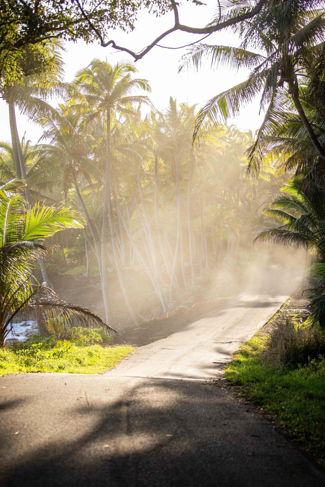 Jungle Haven Ocean Front Eco Villa On Fruit Farm Pahoa 外观 照片